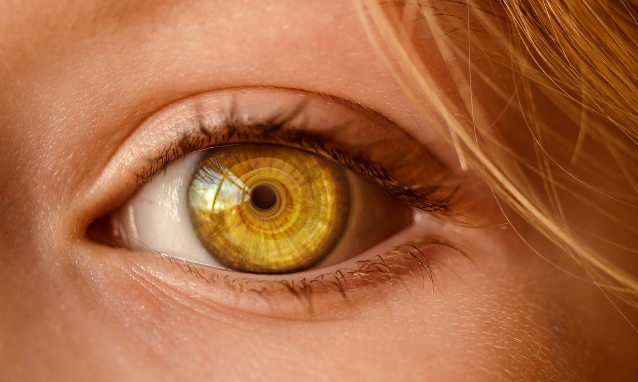 Close up of a healthy human eye